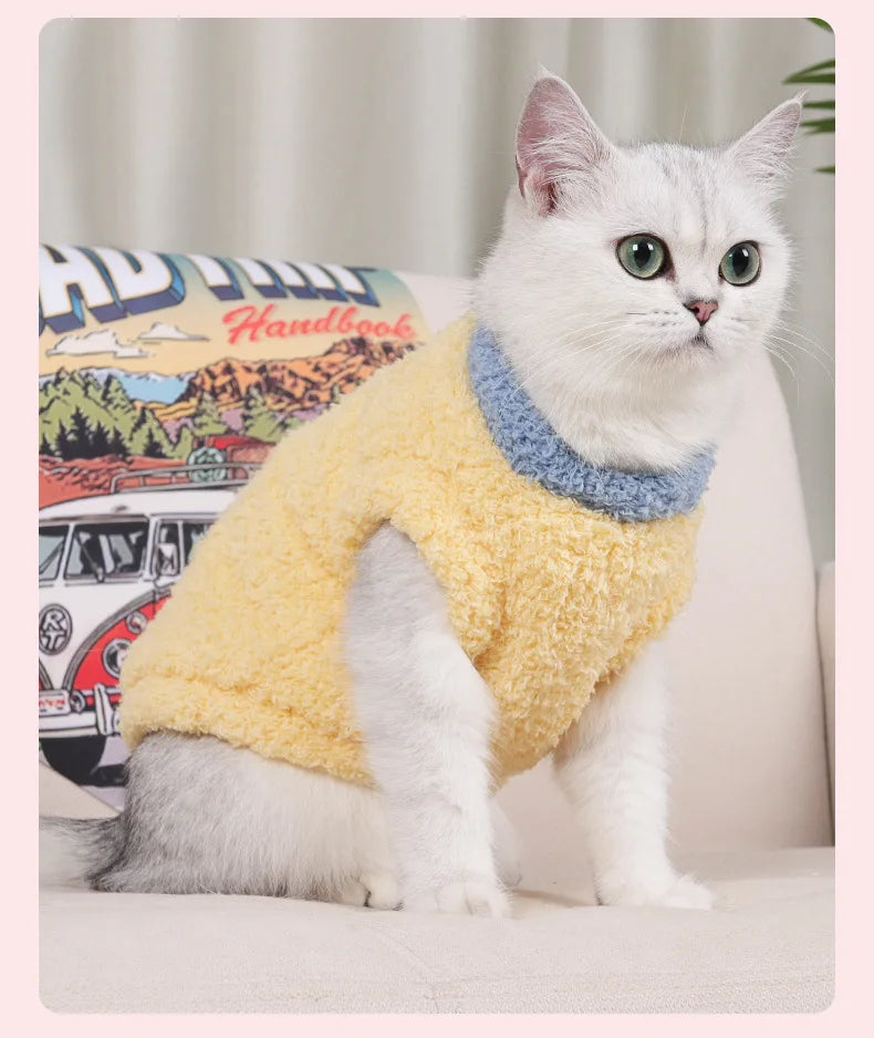 Eco-friendly Cloud Velvet Dog Clothes - New Autumn Winter Solid Thickened Soft Warm Comfortable Classic Style