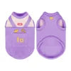 Eco-friendly Cloud Velvet Dog Clothes - New Autumn Winter Solid Thickened Soft Warm Comfortable Classic Style