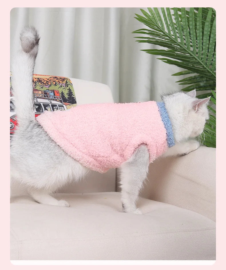 Eco-friendly Cloud Velvet Dog Clothes - New Autumn Winter Solid Thickened Soft Warm Comfortable Classic Style