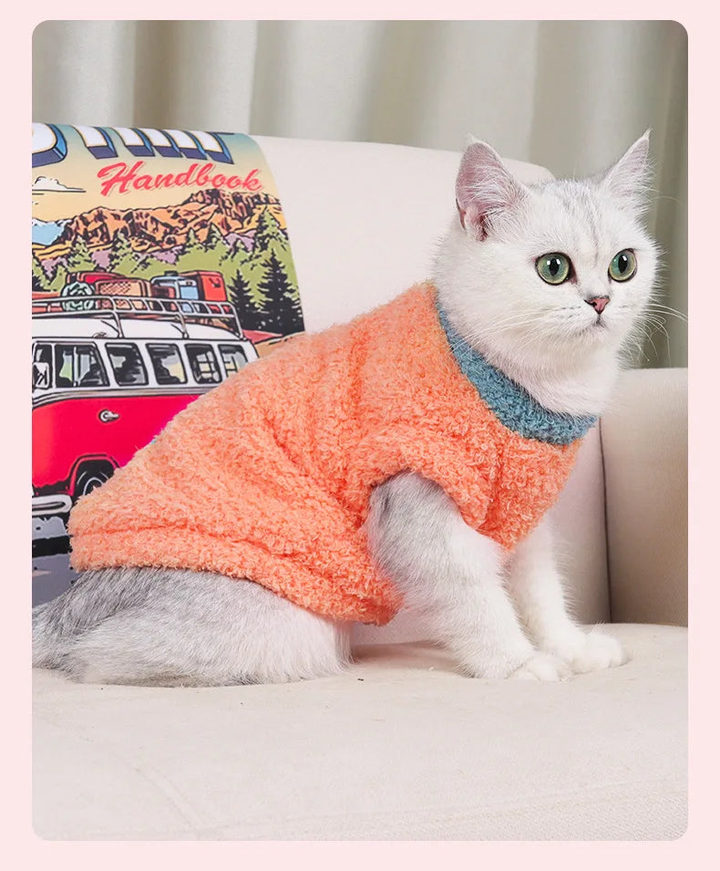 Eco-friendly Cloud Velvet Dog Clothes - New Autumn Winter Solid Thickened Soft Warm Comfortable Classic Style