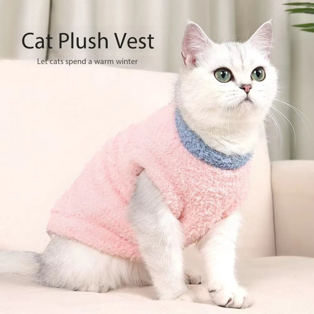 Eco-friendly Cloud Velvet Dog Clothes - New Autumn Winter Solid Thickened Soft Warm Comfortable Classic Style